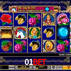 01bet Rio de Janeiro - Professional Dealers